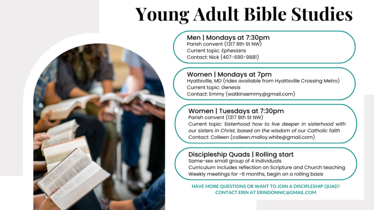 Young Adult Bible Studies